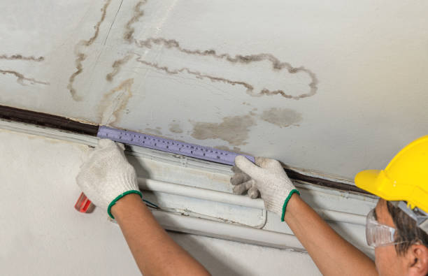 Reliable Burst Pipe Cleanup contractor in Minford, OH by Water Damage Irwin